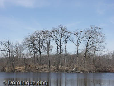 Spring on Wild Wing Kensington Metropark MI